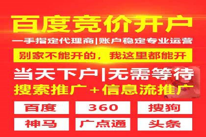 某电商企业如何通过百度竞价广告提升销售额